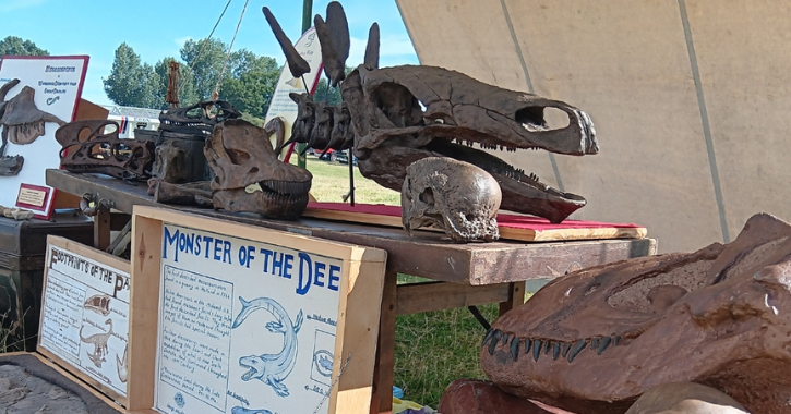 View of old books, objects and dinosaur skulls.
